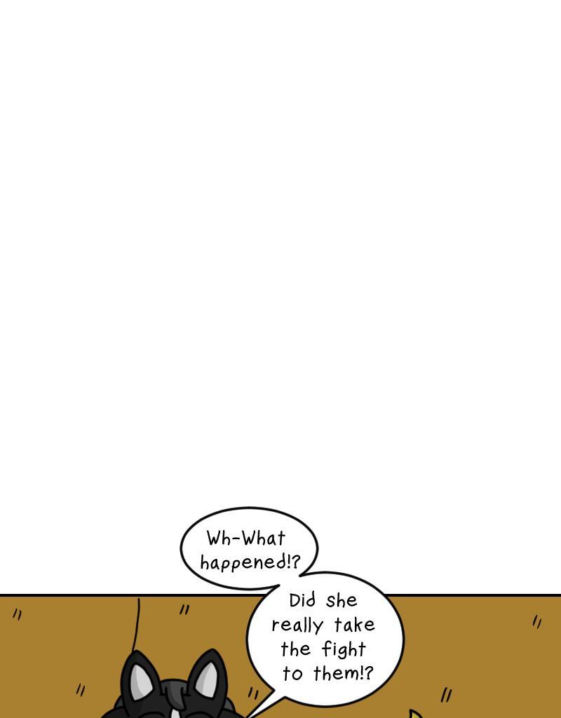 Image 11 Cut